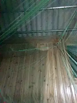 Snapshot of Mptrangp chatting on April 15, 2026, 7:58 pm Mptrangp online show from April 15, 2026, 7:58 pm