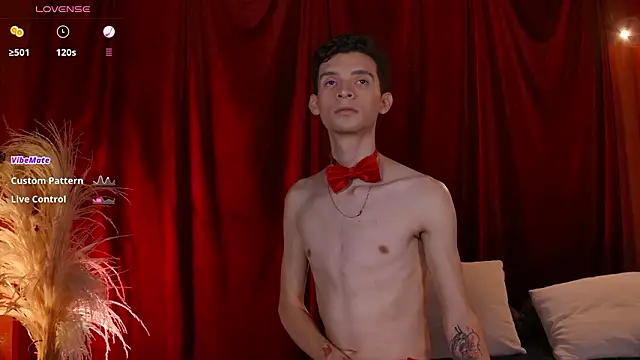 Snapshot of VicenteFerrer chatting on February 13, 2026, 2:33 am VicenteFerrer online show from February 13, 2026, 2:33 am