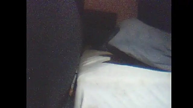 Snapshot of pietje1991 chatting on January 15, 2026, 1:31 am pietje1991 online show from January 15, 2026, 1:31 am