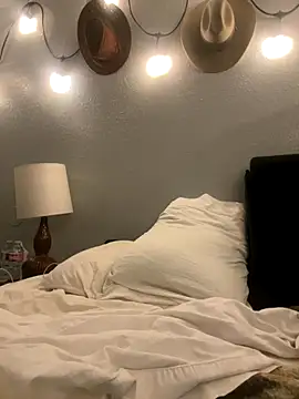 Snapshot of thejohnryancollection chatting on November 4, 2025, 6:17 am thejohnryancollection online show from November 4, 2025, 6:17 am