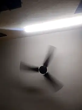 Snapshot of Devi-with-Ram chatting on October 13, 2025, 4:36 am Devi-with-Ram online show from October 13, 2025, 4:36 am