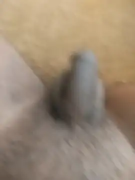 Snapshot of King_Raj99 chatting on October 18, 2025, 10:50 am King Raj99 online show from October 18, 2025, 10:50 am