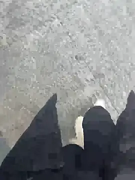 xiao-mo520 online show from March 3, 2026, 7:26 am