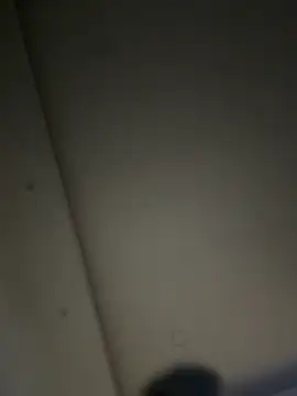 Snapshot of ALANNFERRER chatting on November 22, 2025, 10:14 am ALANNFERRER online show from November 22, 2025, 10:14 am