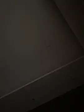 Snapshot of ALANNFERRER chatting on November 1, 2025, 10:42 am ALANNFERRER online show from November 1, 2025, 10:42 am