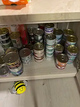 Etherealcat33 online show from April 3, 2026, 2:34 pm