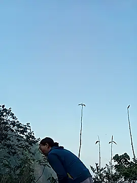 Bianly online show from April 3, 2026, 10:11 am