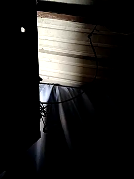 ShawnandDani7074 online show from April 14, 2026, 7:46 am