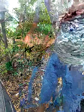 Snapshot of Aeroxx chatting on March 31, 2026, 4:47 am Aeroxx online show from March 31, 2026, 4:47 am