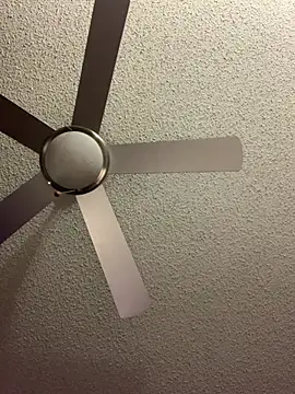 Snapshot of Triggerhappycj100 chatting on February 24, 2026, 8:48 am Triggerhappycj100 online show from February 24, 2026, 8:48 am