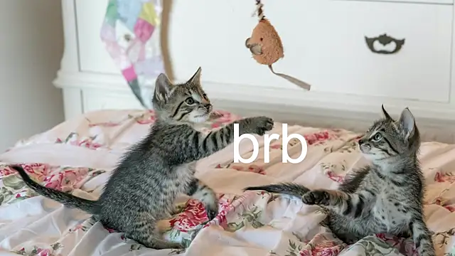 Snapshot of Pink_girl0n chatting on November 17, 2025, 7:07 pm Pink girl0n online show from November 17, 2025, 7:07 pm