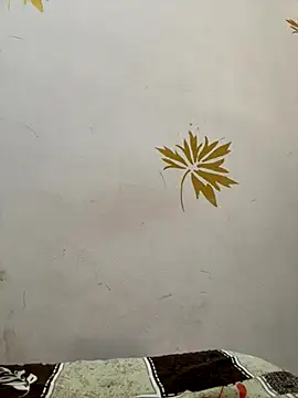 Snapshot of modelnishu chatting on October 17, 2025, 1:42 am modelnishu online show from October 17, 2025, 1:42 am