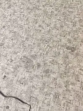 Snapshot of TrixieAndDaddy chatting on November 10, 2025, 9:09 pm TrixieAndDaddy online show from November 10, 2025, 9:09 pm