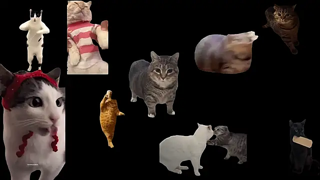 Snapshot of ch0wn_m chatting on November 17, 2025, 10:52 am ch0wn m online show from November 17, 2025, 10:52 am