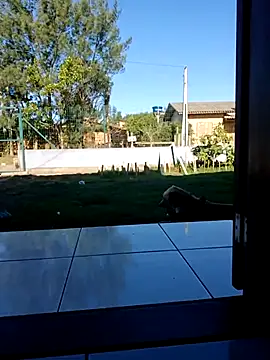 cicinha3657 online show from April 9, 2026, 6:25 pm