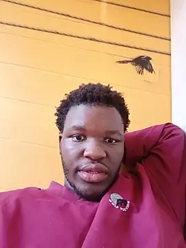 Snapshot of niccobigd chatting on May 24, 2026, 1:22 pm niccobigd online show from May 24, 2026, 1:22 pm