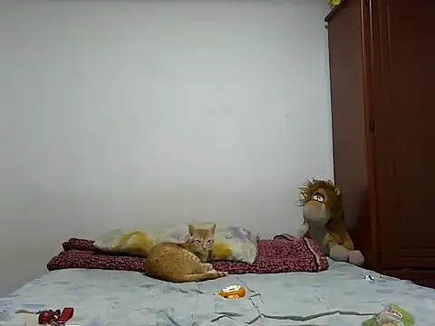 Snapshot of MeganAndMax@xh chatting on October 28, 2025, 12:33 am MeganAndMaxxh online show from October 28, 2025, 12:33 am