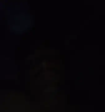 ramesh65 online show from March 13, 2026, 6:13 pm