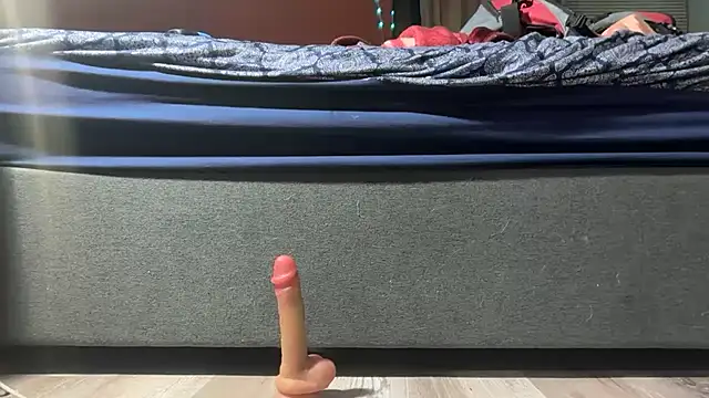 Snapshot of bearcub300 chatting on December 18, 2025, 5:34 am bearcub300 online show from December 18, 2025, 5:34 am