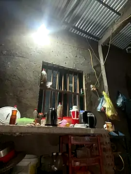 Sunny lotus online show from November 8, 2025, 3:15 pm