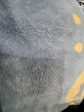 Snapshot of Boyshow88 chatting on February 3, 2026, 3:17 pm Boyshow88 online show from February 3, 2026, 3:17 pm