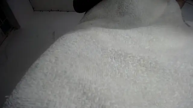 Snapshot of Foxy_Lovex chatting on February 7, 2026, 10:18 pm Foxy Lovex online show from February 7, 2026, 10:18 pm