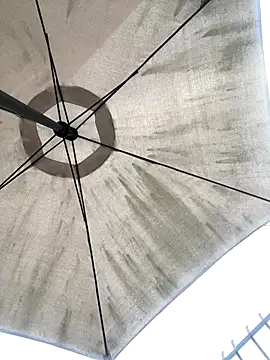 Sallem Pink online show from December 20, 2025, 11:13 am