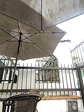 Sallem Pink online show from April 20, 2026, 11:13 am