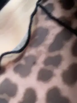 Sallem Pink online show from November 6, 2025, 11:14 am