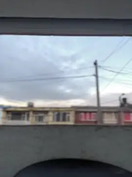 Sallem Pink online show from March 13, 2026, 11:15 am