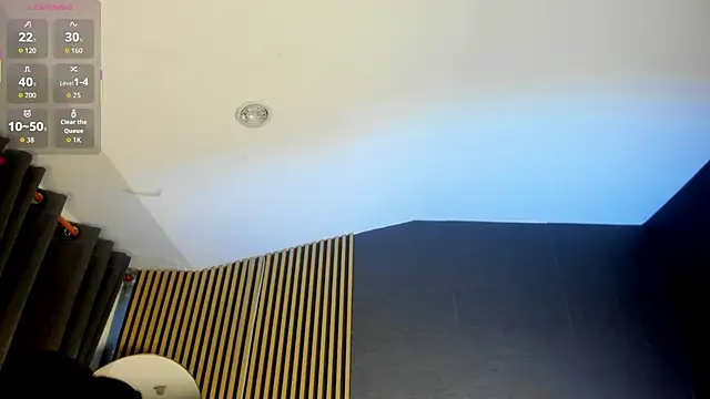 Snapshot of Gina_77 chatting on November 11, 2025, 12:33 pm Gina 77 online show from November 11, 2025, 12:33 pm