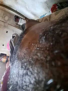 Negodabenga online show from October 18, 2025, 12:40 pm