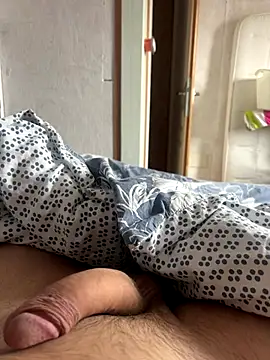 carapace31 online show from November 27, 2025, 9:54 am