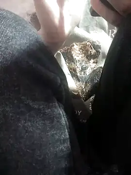 sasud2 online show from November 26, 2025, 1:38 am