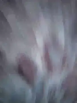 Snapshot of Aliyeni1 chatting on April 17, 2026, 12:08 pm Aliyeni1 online show from April 17, 2026, 12:08 pm