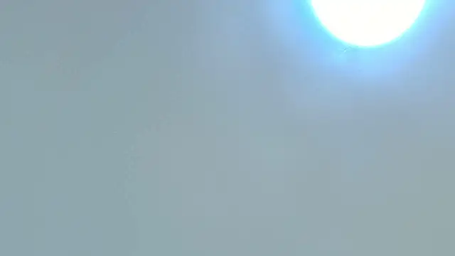 Snapshot of Dixie_grey1 chatting on October 15, 2025, 2:47 pm Dixie grey1 online show from October 15, 2025, 2:47 pm