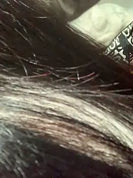 NhuFox online show from February 3, 2026, 6:33 am