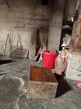 TinTin321 online show from March 3, 2026, 5:25 am