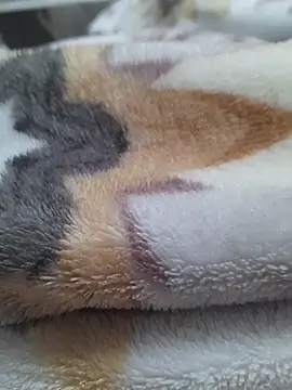 ratoncito 3 online show from March 16, 2026, 12:31 pm