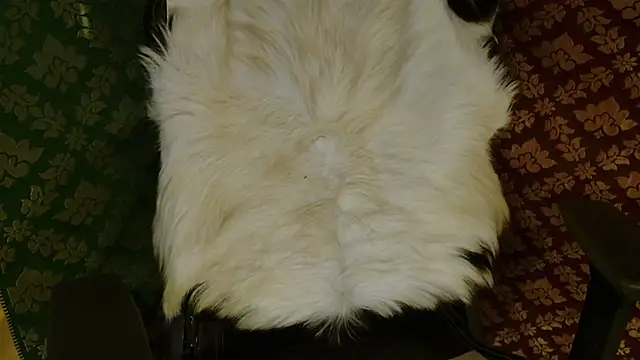 JUSTFORRICH online show from April 20, 2026, 3:46 pm