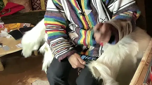 JUSTFORRICH online show from December 23, 2025, 2:44 am