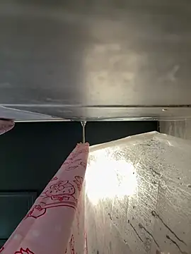 chocolate bella online show from March 7, 2026, 2:33 pm