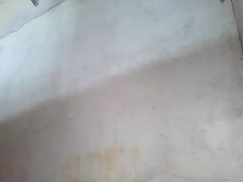 Snapshot of star_ass chatting on October 19, 2025, 11:51 pm star ass online show from October 19, 2025, 11:51 pm