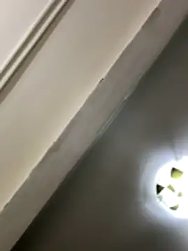 Snapshot of lynn9000 chatting on November 29, 2025, 9:09 am lynn9000 online show from November 29, 2025, 9:09 am