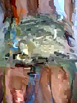 Steehood online show from January 15, 2026, 2:48 am