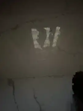 gigoloboymumbai00 online show from March 20, 2026, 1:50 am