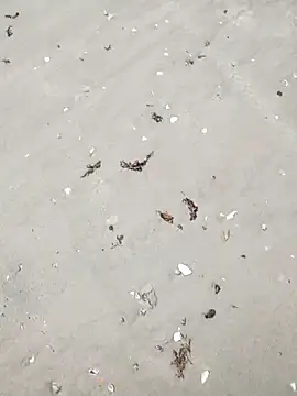 sarahkat86 online show from April 6, 2026, 4:52 pm