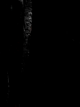 Snapshot of Mateo_6910 chatting on September 22, 2025, 3:45 am Mateo 6910 online show from September 22, 2025, 3:45 am