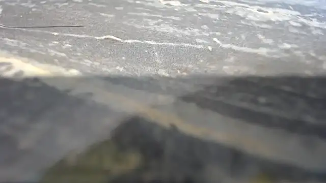 habdiela online show from September 13, 2025, 12:21 am