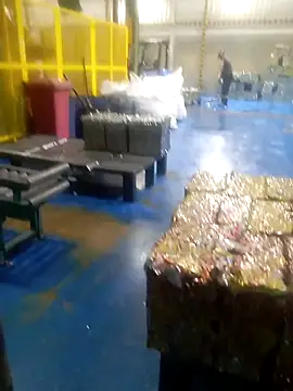 safadinhoo007 online show from October 23, 2025, 9:08 am